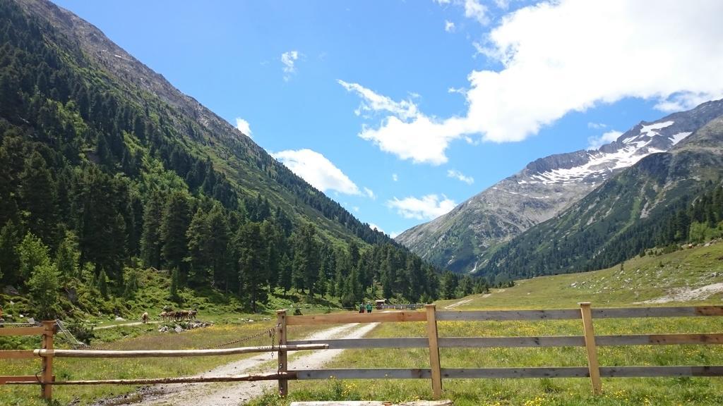 Hotel Eckartauerhof ไมย์อาโฮเฟิน ภายนอก รูปภาพ