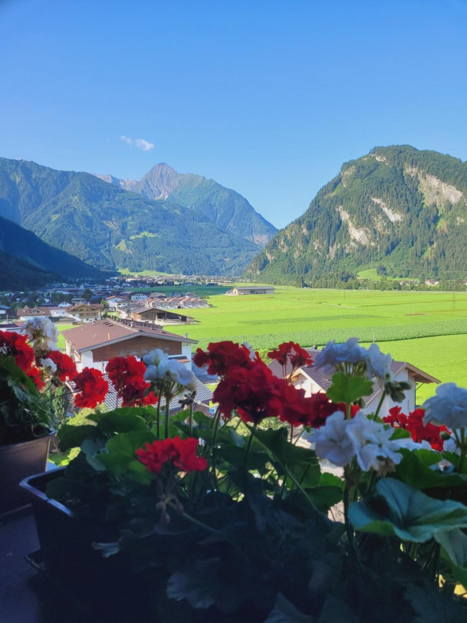 Hotel Eckartauerhof ไมย์อาโฮเฟิน ภายนอก รูปภาพ