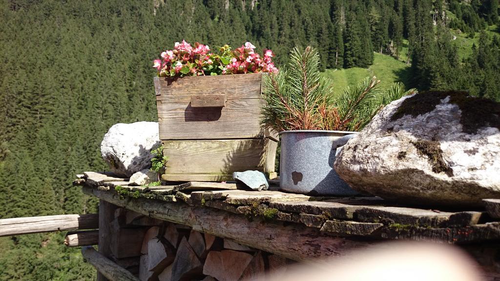 Hotel Eckartauerhof ไมย์อาโฮเฟิน ภายนอก รูปภาพ