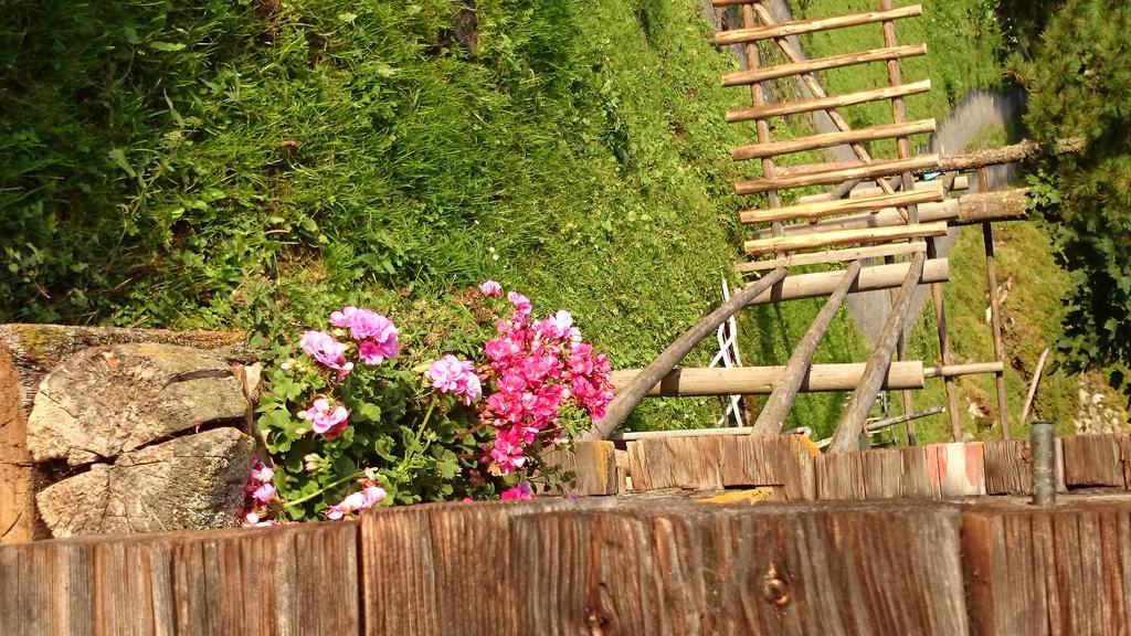 Hotel Eckartauerhof ไมย์อาโฮเฟิน ภายนอก รูปภาพ