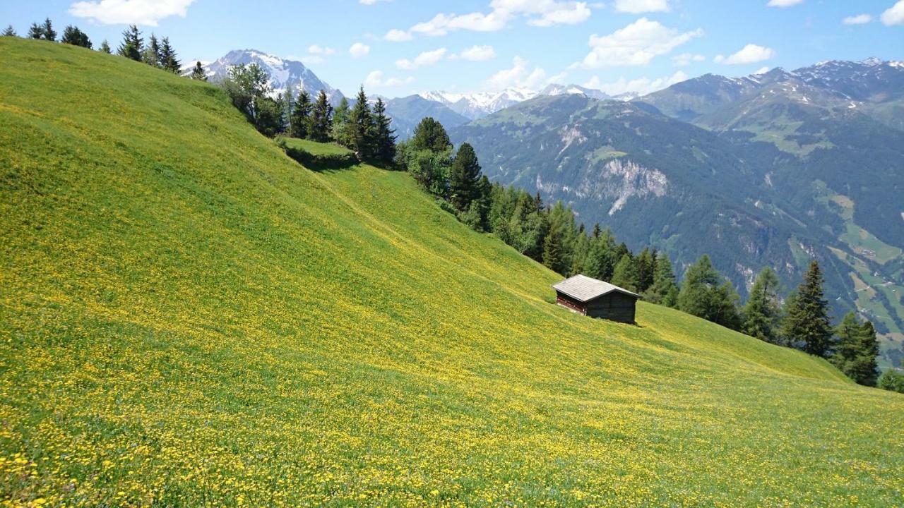 Hotel Eckartauerhof ไมย์อาโฮเฟิน ภายนอก รูปภาพ